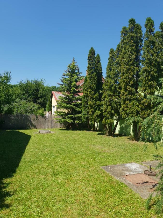 Zseki Apartman Hajdúszoboszló Exterior foto